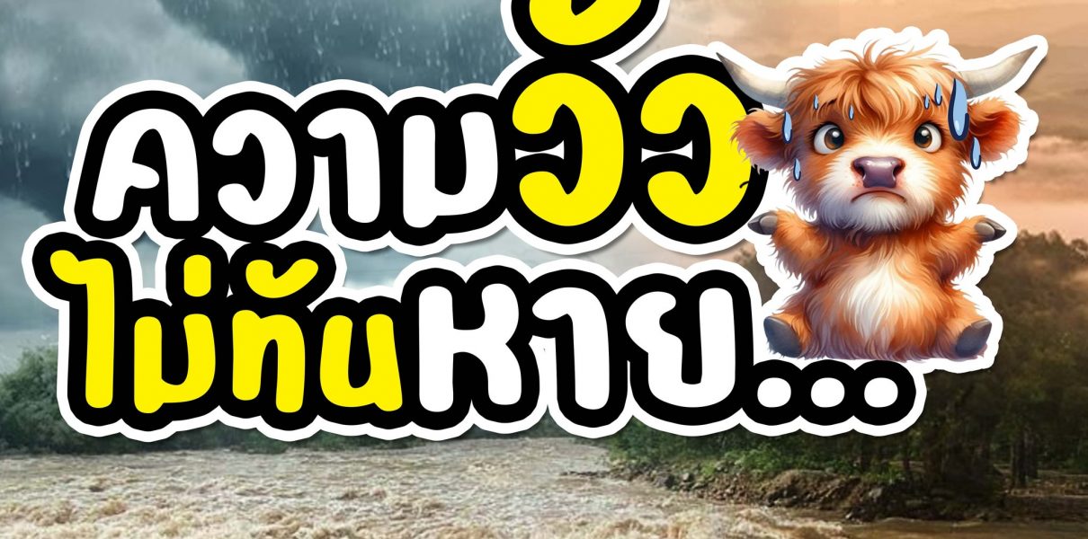 ความวัวไม่ทันหาย…