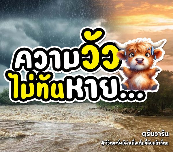 ความวัวไม่ทันหาย…